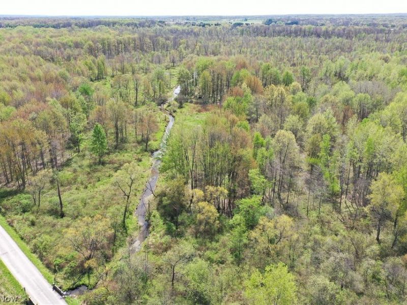 California Road, Williamsfield, OH 44093 Photo 31