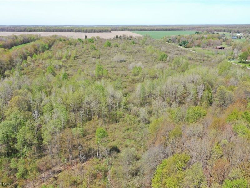 California Road, Williamsfield, OH 44093 Photo 32