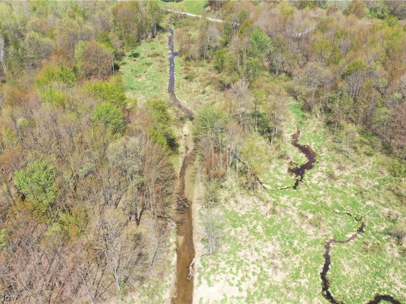 California Road, Williamsfield, OH 44093 Photo 33