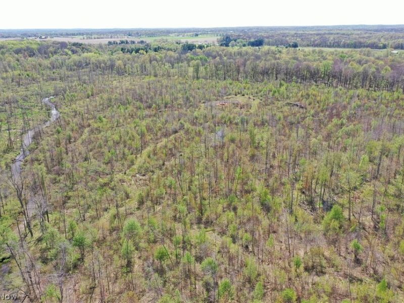 California Road, Williamsfield, OH 44093 Photo 34