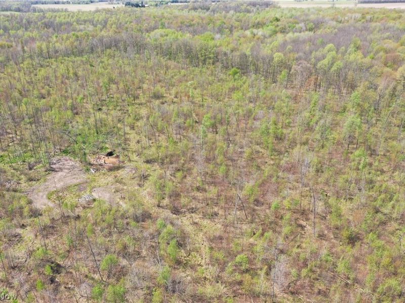 California Road, Williamsfield, OH 44093 Photo 35