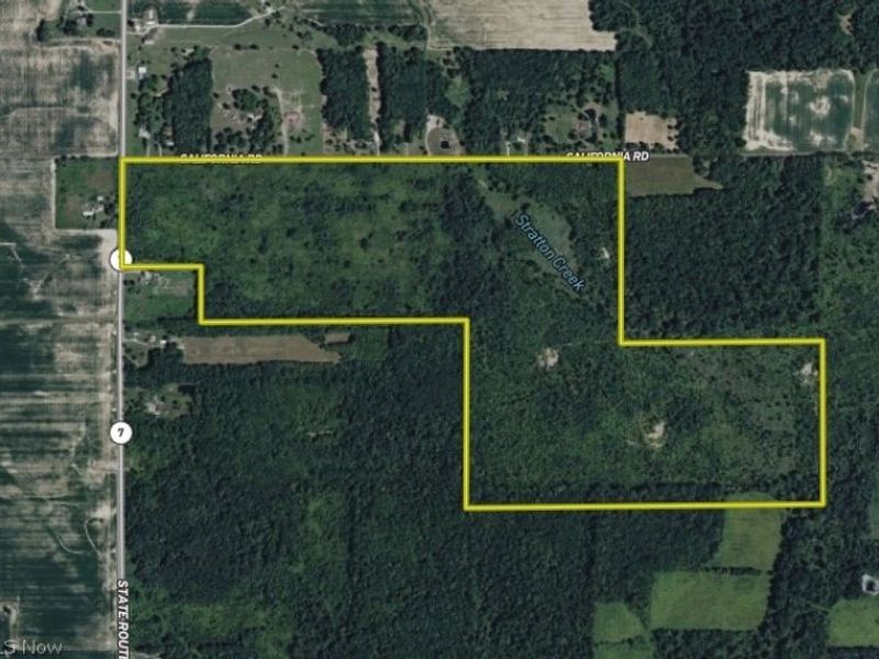 California Road, Williamsfield, OH 44093 Photo 36