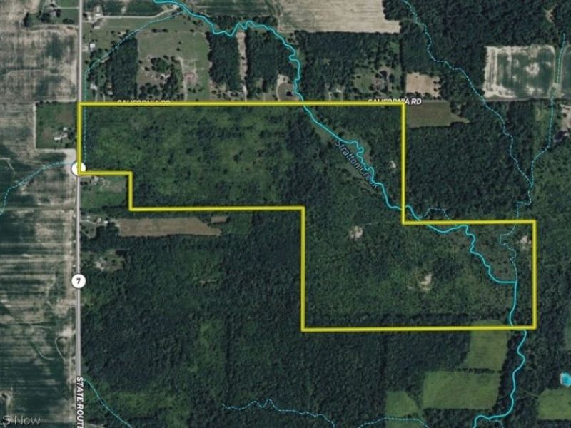 California Road, Williamsfield, OH 44093 Photo 37