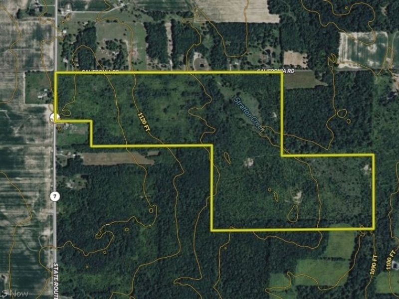 California Road, Williamsfield, OH 44093 Photo 38