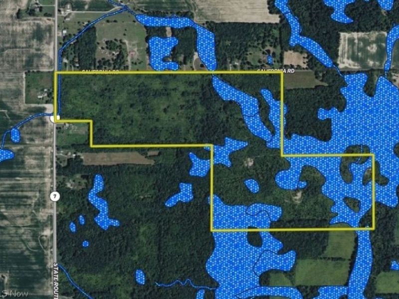 California Road, Williamsfield, OH 44093 Photo 39