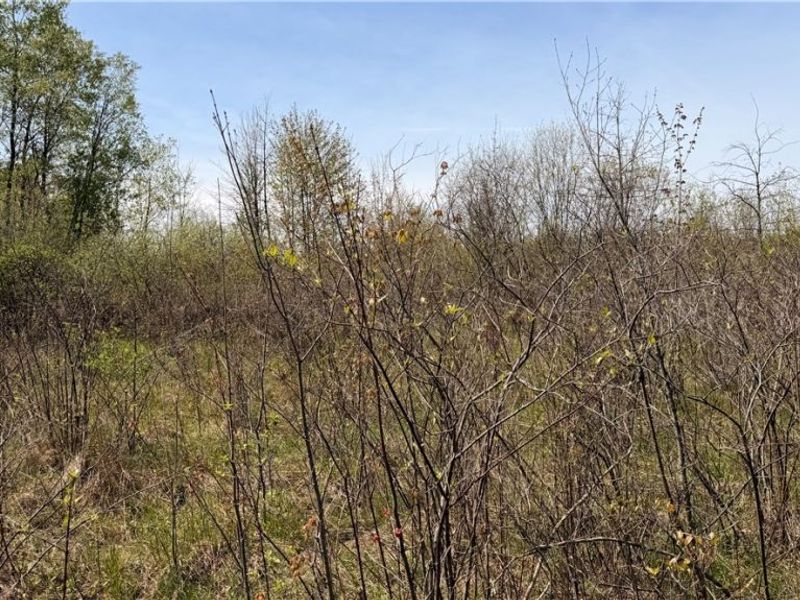 California Road, Williamsfield, OH 44093 Photo 4