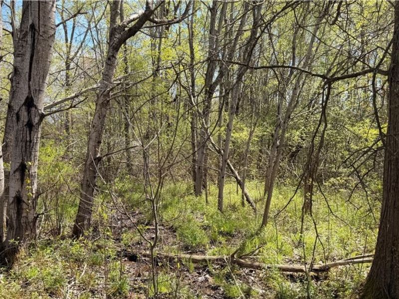 California Road, Williamsfield, OH 44093 Photo 5