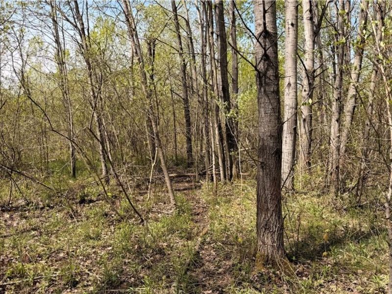 California Road, Williamsfield, OH 44093 Photo 6