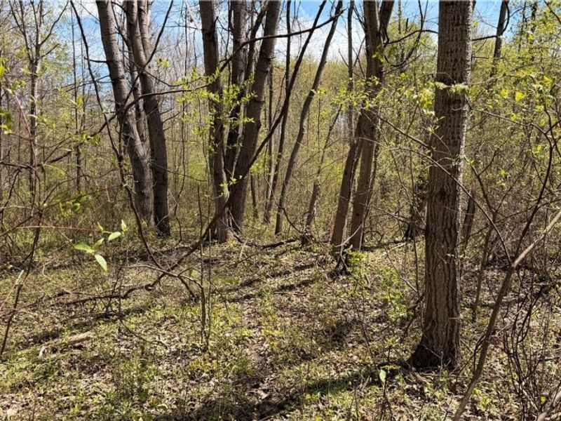 California Road, Williamsfield, OH 44093 Photo 7