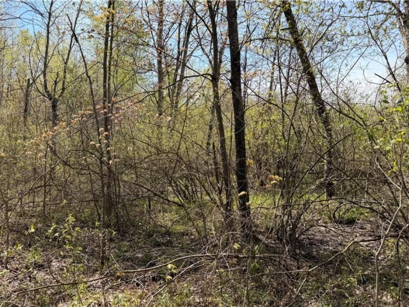 California Road, Williamsfield, OH 44093 Photo 8