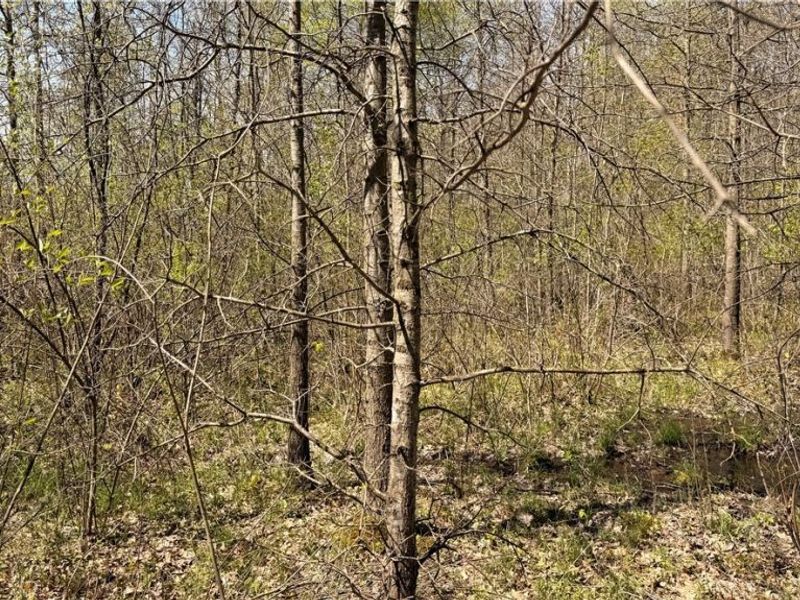 California Road, Williamsfield, OH 44093 Photo 9