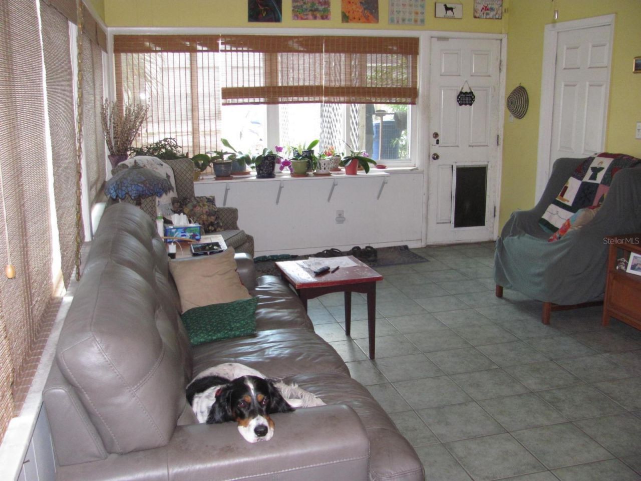 4716 17th Avenue N, Saint Petersburg, FL 33713 Photo