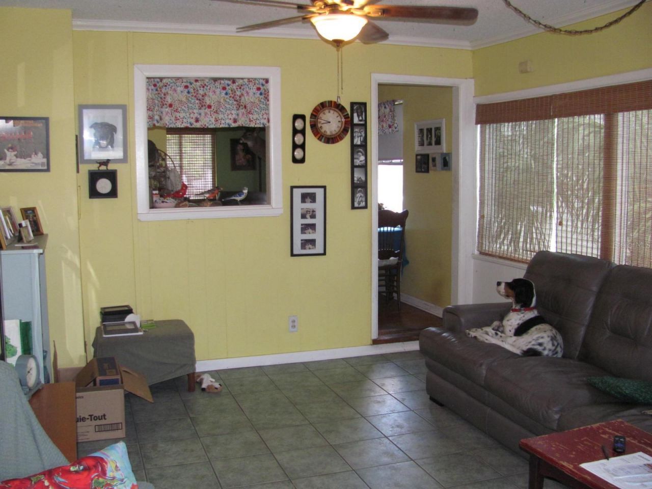4716 17th Avenue N, Saint Petersburg, FL 33713 Photo