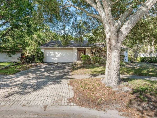 4101 WINDTREE DRIVE , TAMPA, FL 33624