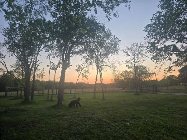 8883 NE County Road 2075, Powell, TX 75153