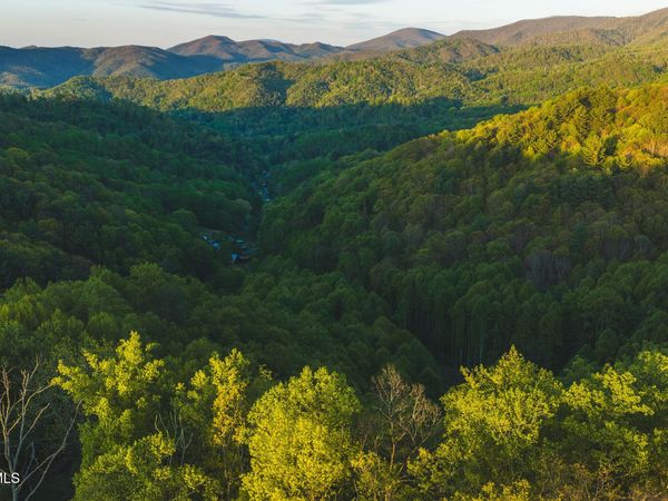 Tbd Cole Road, Flag Pond, TN 37657