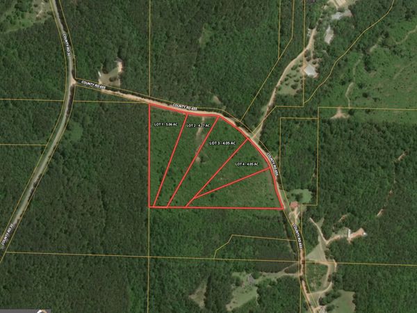 0 W County Road 655, Unit LOT 3, Roanoke, AL 36274