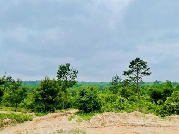 2665 County Road 3940, Mineola, TX 75773