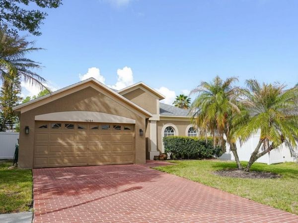 10304 BIRDWATCH DRIVE, TAMPA, FL 33647