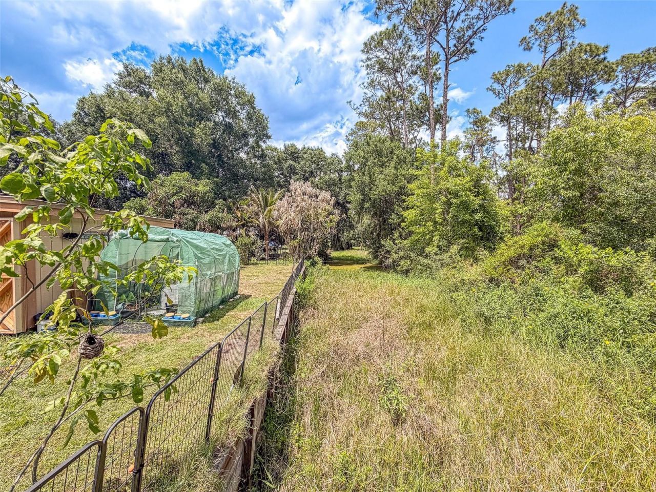 305 Cloverleaf Road , Lake Placid, FL 33852 Photo