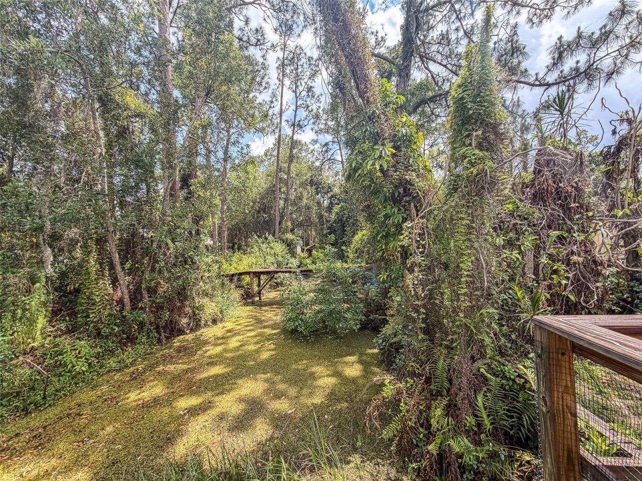 305 Cloverleaf Road , Lake Placid, FL 33852 Photo