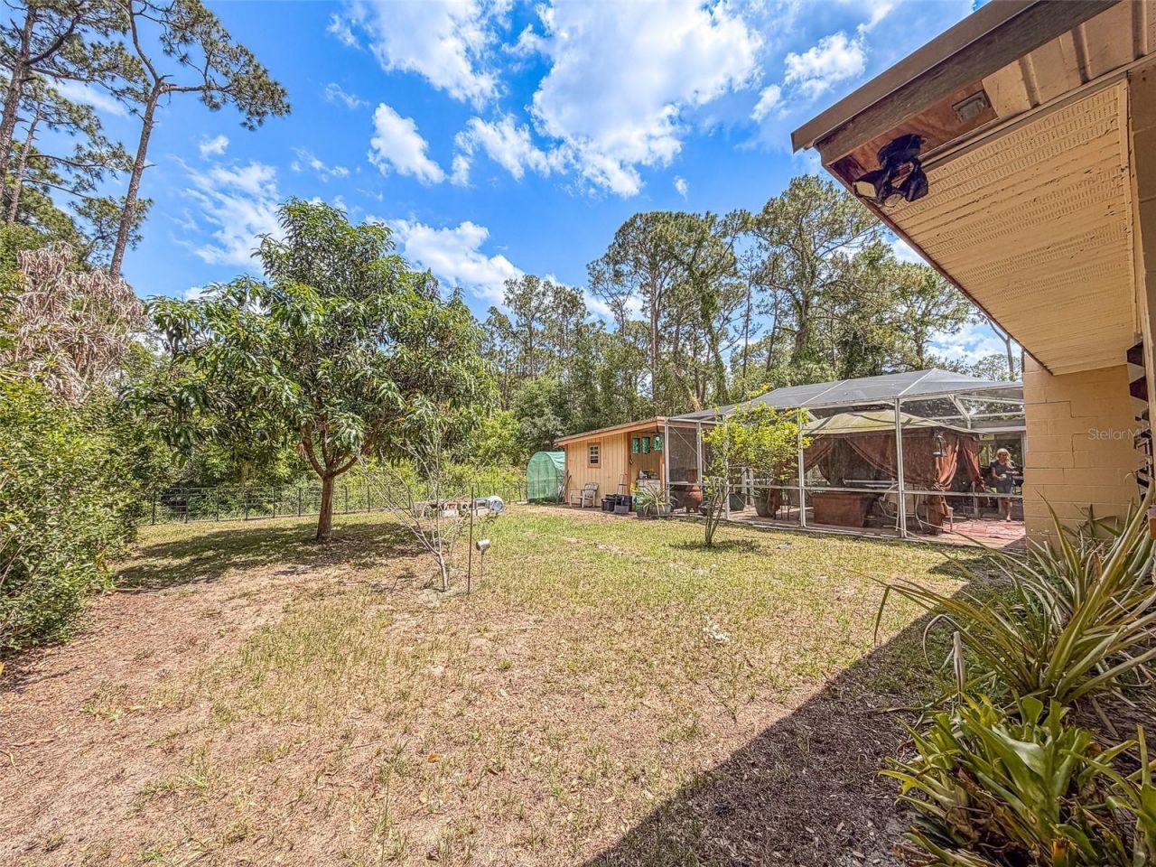 305 Cloverleaf Road , Lake Placid, FL 33852 Photo
