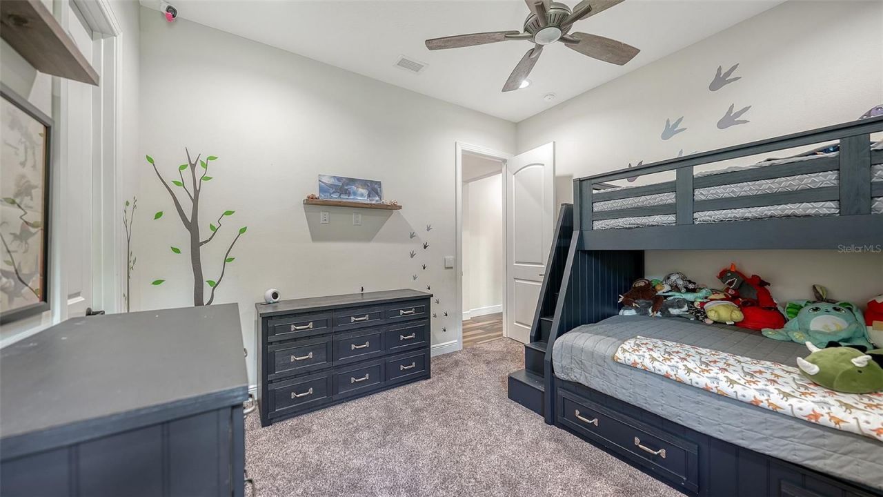 10790 Leafwing Drive, Sarasota, FL 34241 Photo