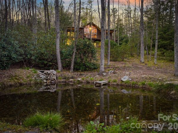 163 Bear Track Lane, Vilas, NC 28692