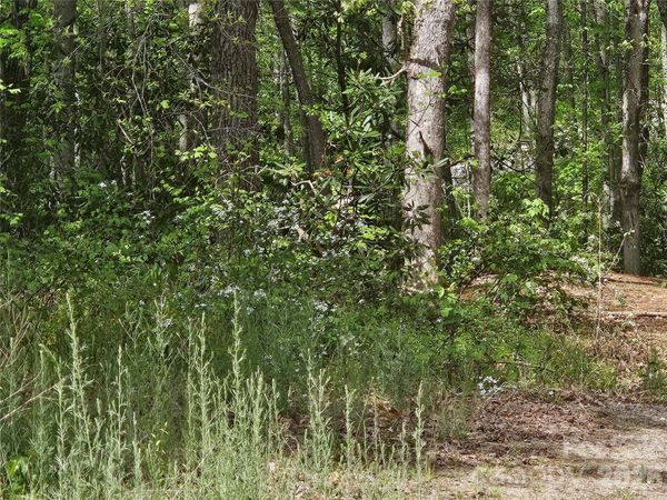 22 Graulich Lane , Candler, NC 28715