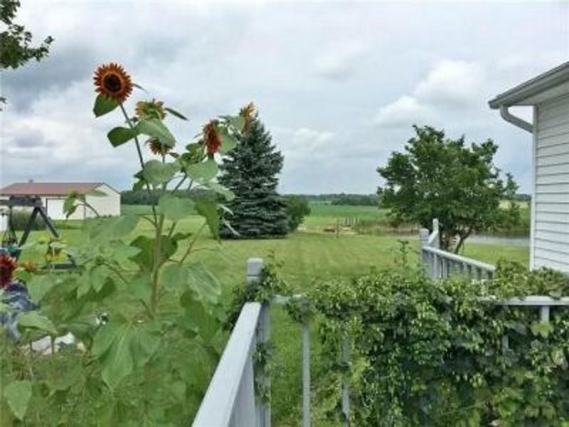 3118 N County Road 5, Bellefontaine, OH 43311 Photo 51