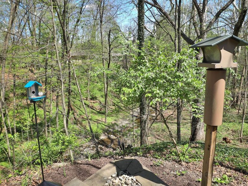 815 Lookout Point Drive, Columbus, OH 43235 Photo 84