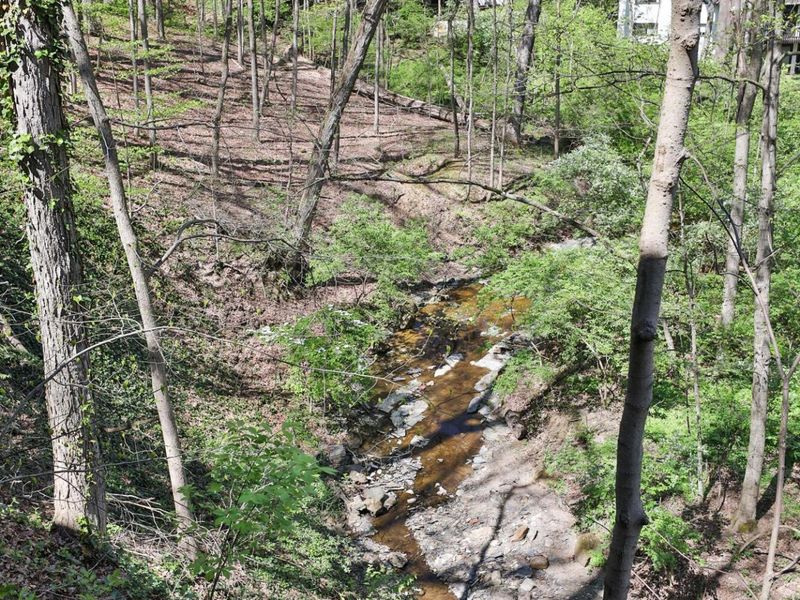 815 Lookout Point Drive, Columbus, OH 43235 Photo 86