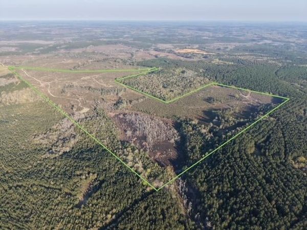 1718 TBD 198 Acres +/-, Westville, FL 32464