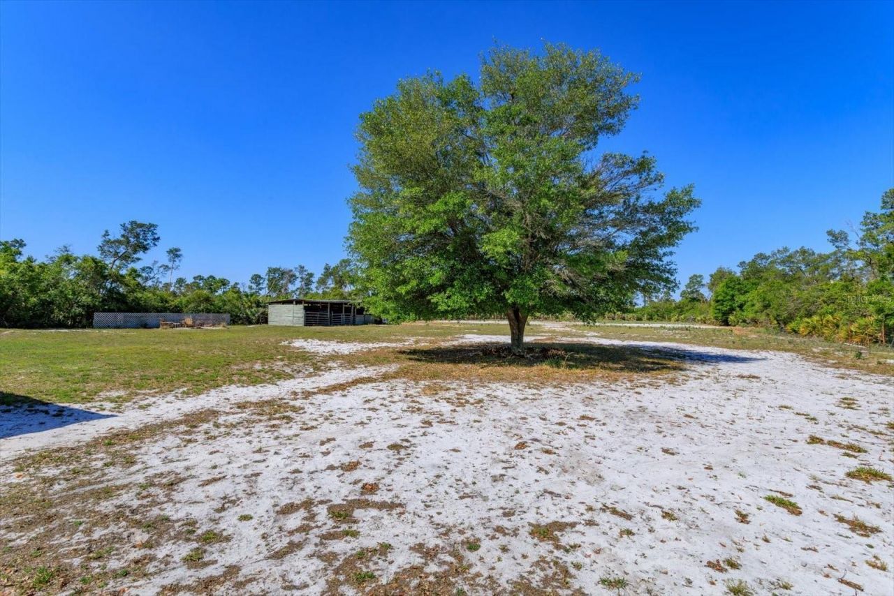 3335 Riverhead Drive, Deltona, FL 32738 Photo
