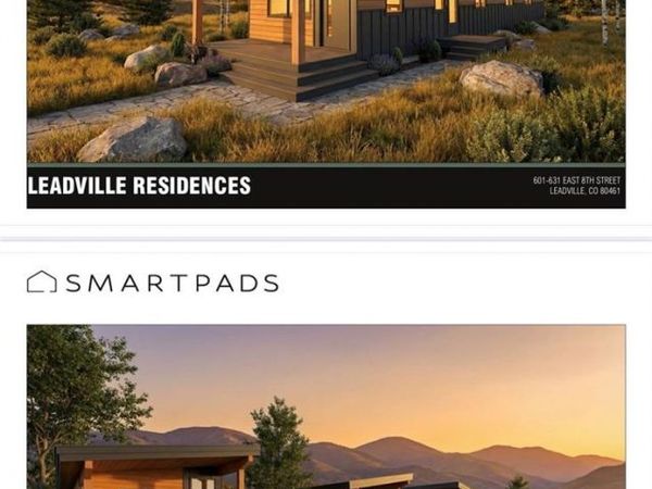 613 E 8th Street, Leadville, CO 80461