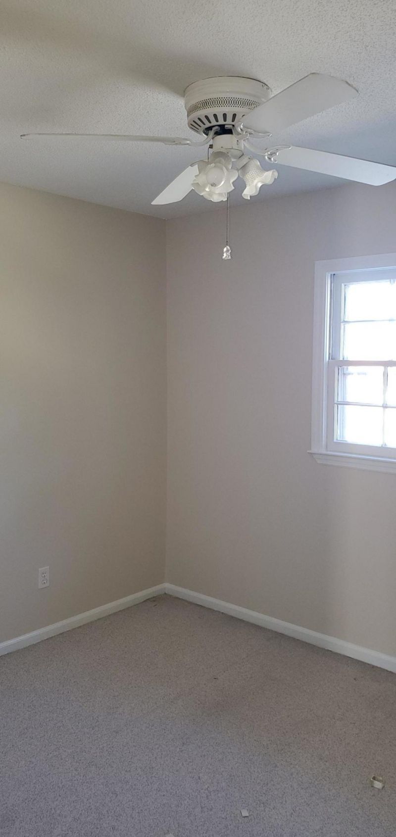 122 Brush Boulevard Photo 6
