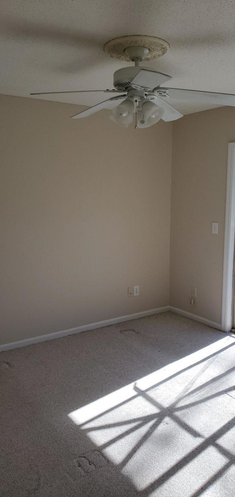 122 Brush Boulevard Photo 8