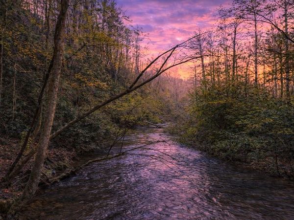 58 River Road, Cherry Log, GA 30522