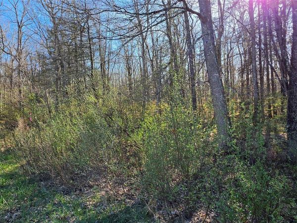 Lot 70 Cushetunk Drive , Cochecton, NY 12726