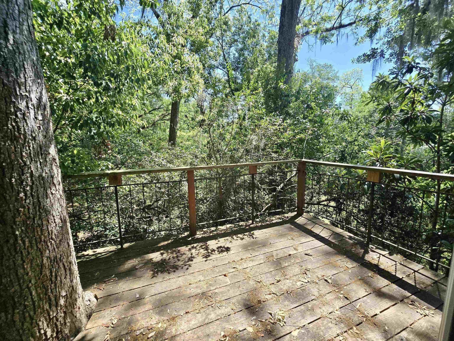 727 Miccosukee Road, Unit -, Tallahassee, FL 32308 Photo