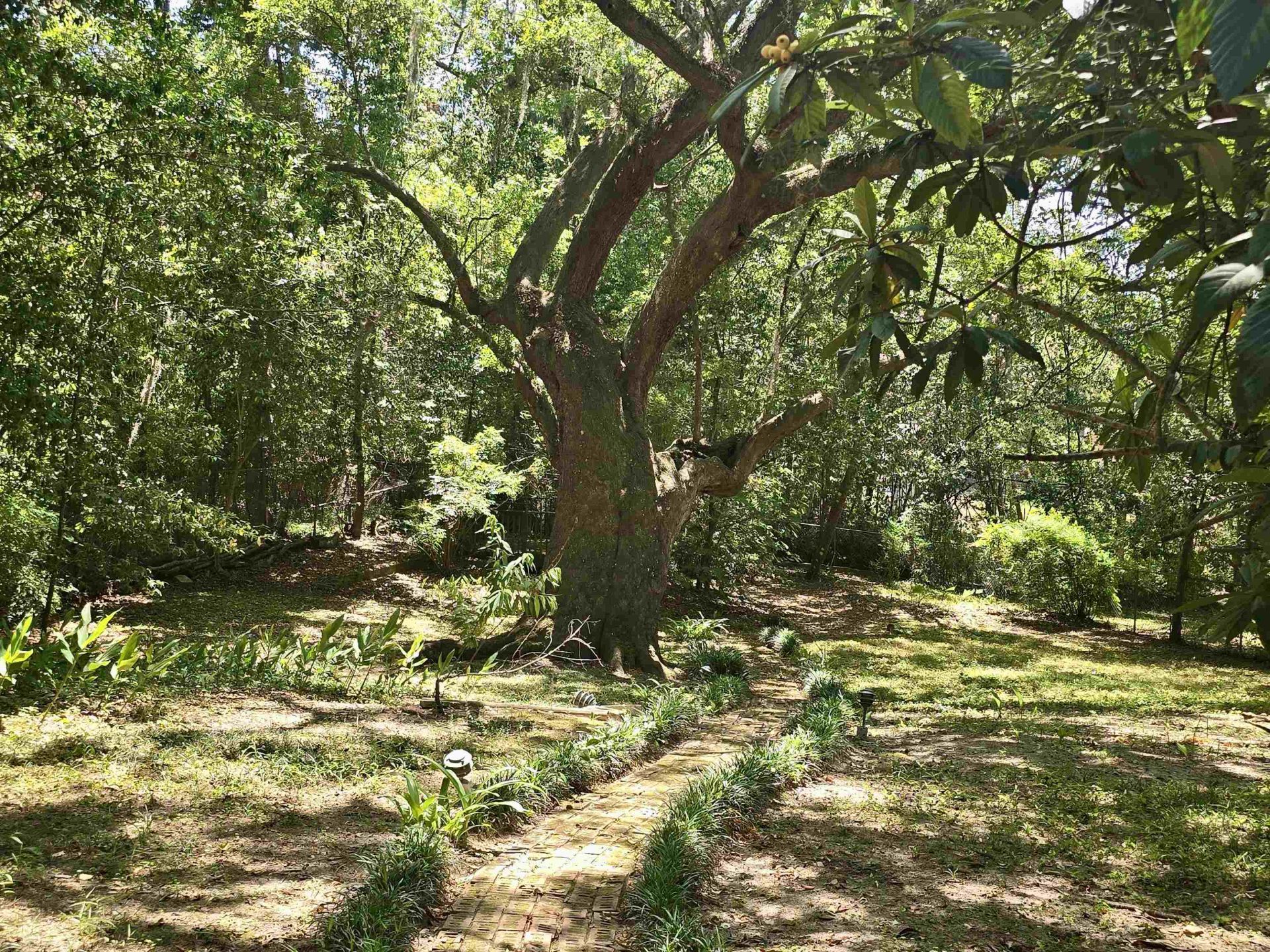 727 Miccosukee Road, Unit -, Tallahassee, FL 32308 Photo