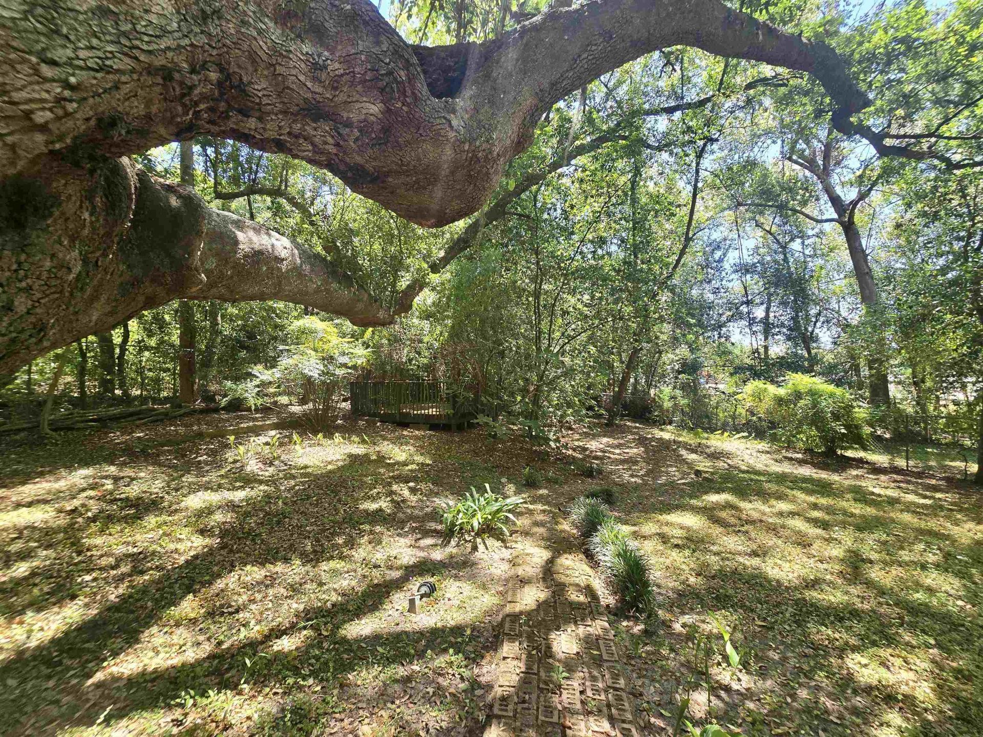 727 Miccosukee Road, Unit -, Tallahassee, FL 32308 Photo