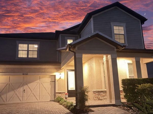 18760 BIRCHWOOD GROVES DRIVE , LUTZ, FL 33558