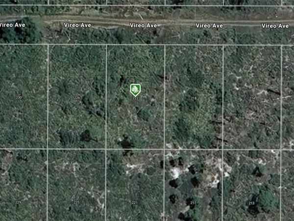 222 Vireo AVE , SEBRING, FL 33870