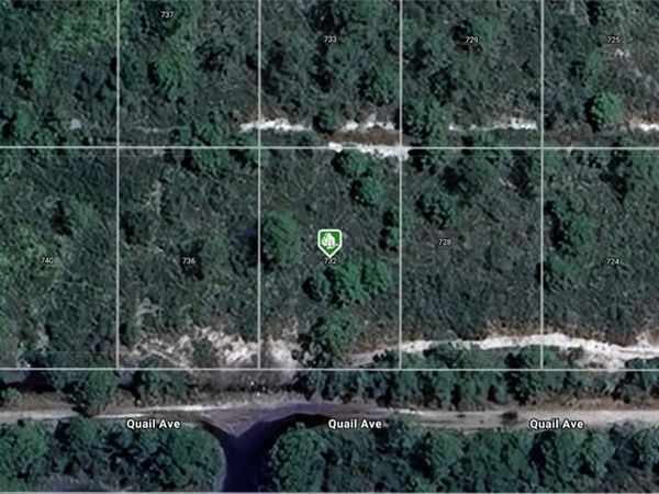 732 Quail AVE , SEBRING, FL 33870