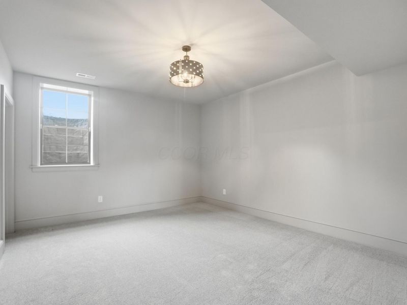 8320 Canopy Glen Drive, Plain City, OH 43064 Photo 86