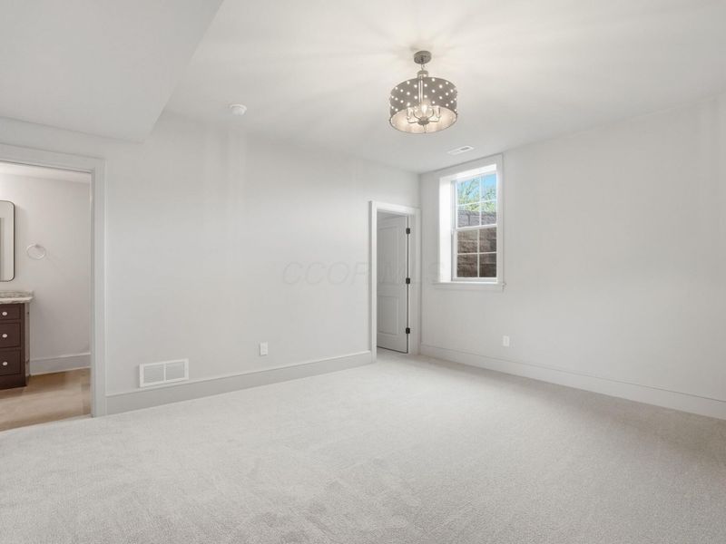 8320 Canopy Glen Drive, Plain City, OH 43064 Photo 87