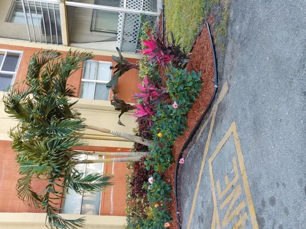 3700 NW 21st Street, Unit 305, Lauderdale Lakes, FL 33311