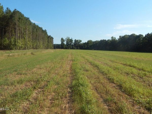 555 County Road 247 Country Road, Bruce, MS 38915