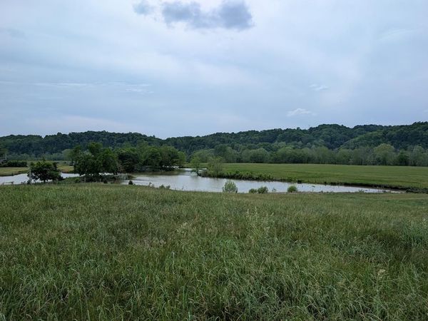 18 Rivertown Rd, Burkesville, KY 42717